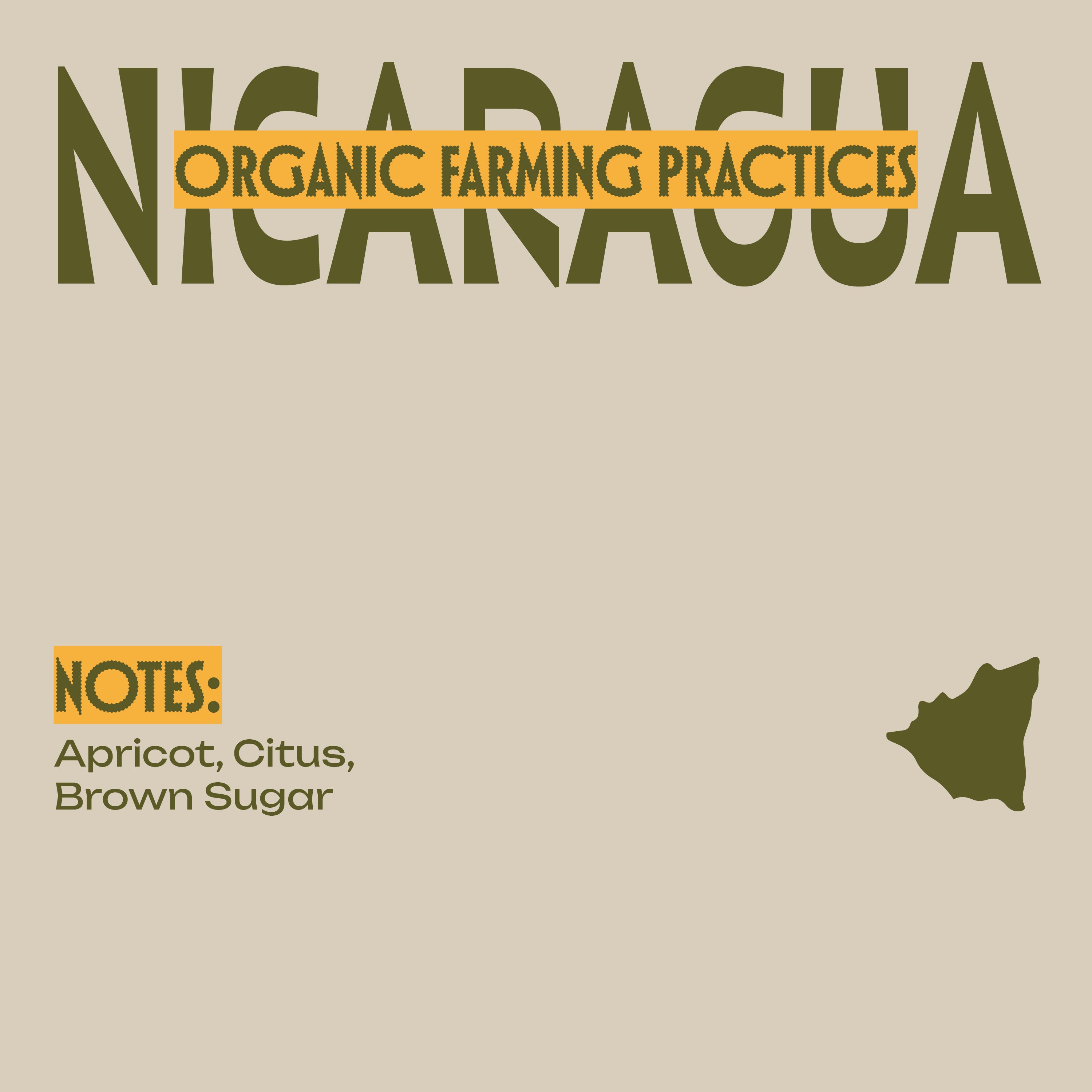 100% Organic Nicaragua - Whole Bean