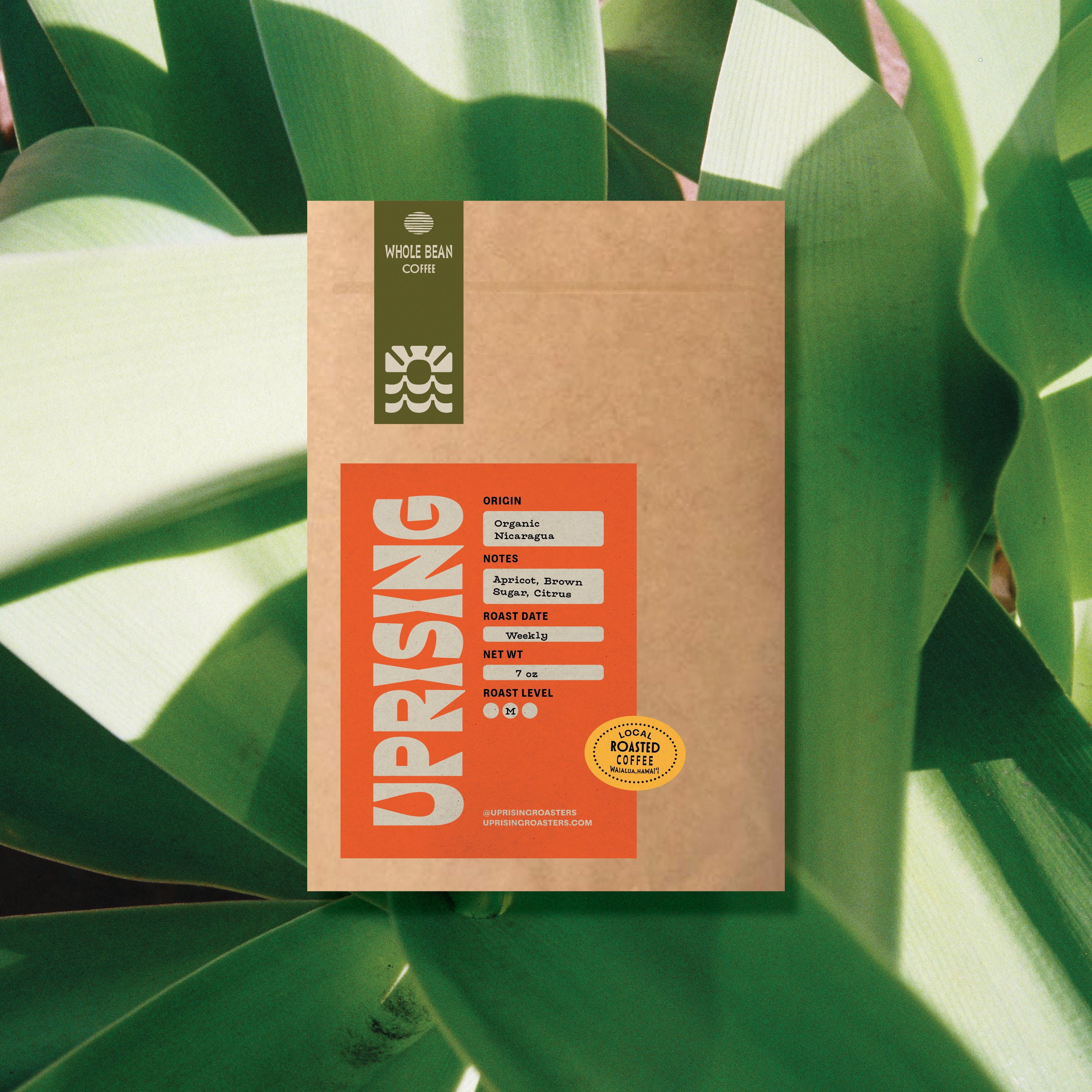 100% Organic Nicaragua - Whole Bean